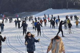 冬天冰上娱乐项目,盘点冰上娱乐项目魅力