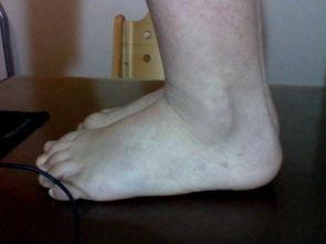 双脚的图片,一双双脚的奇妙旅程